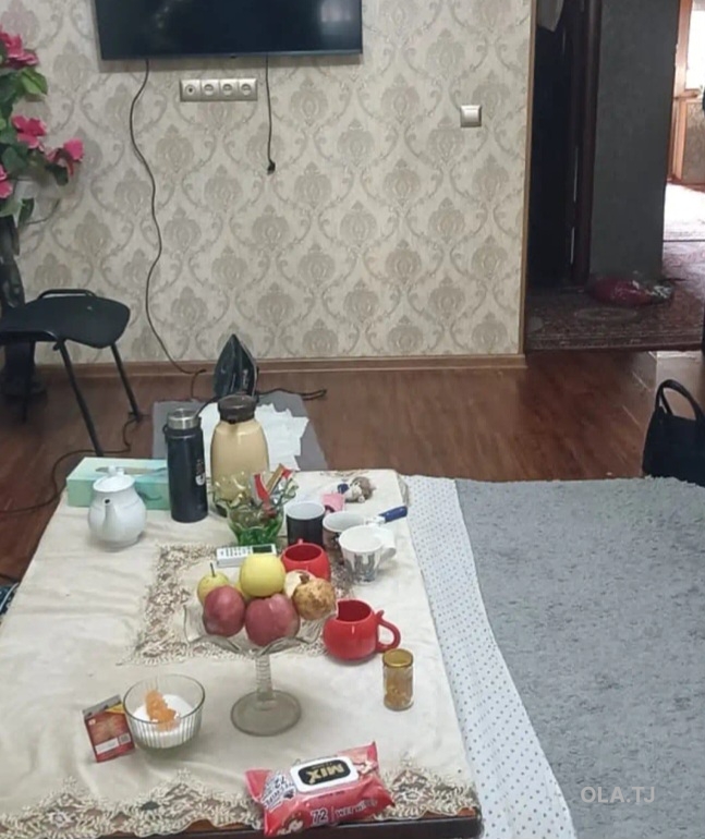 1 комнатная квартира, 1 этаж, 50 м²