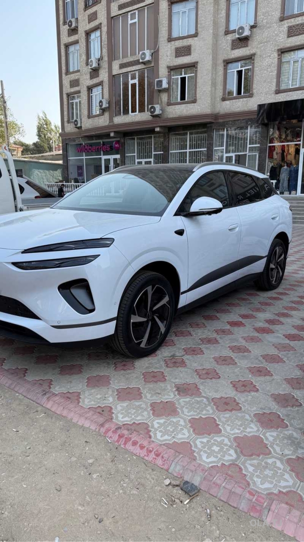 BYD Sea Lion 06,  2025
