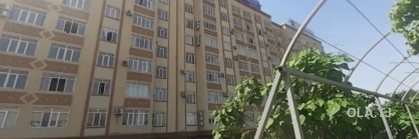 1 комнатная квартира, Цокольный этаж, 53 м²