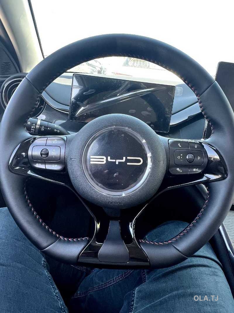 BYD E2,  2025