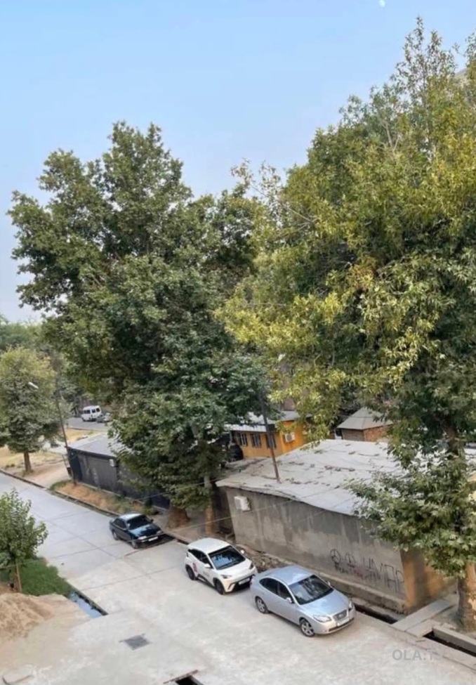 1 комнатная квартира, 3 этаж, 56 м²