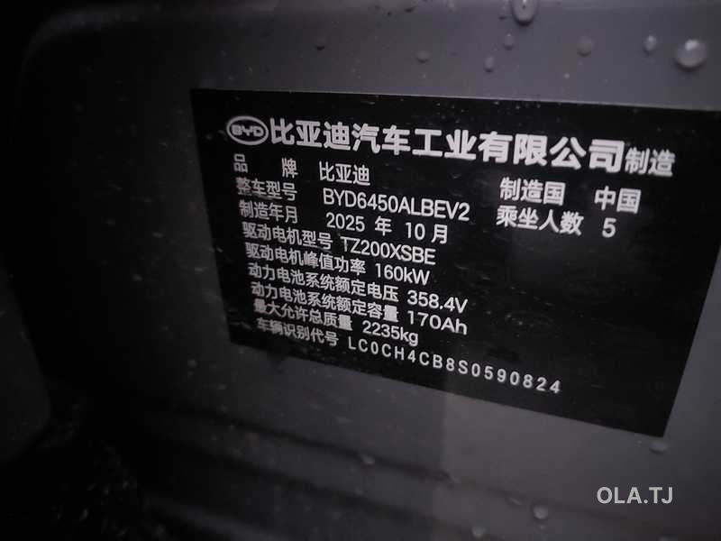 BYD Sea Lion 07,  2025