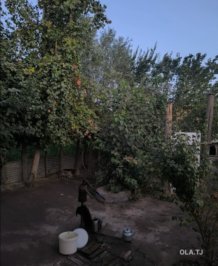 Дом (хавли), 4 комнат, 1 эт
