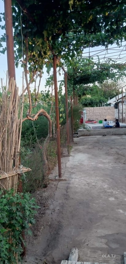 Дом (хавли), 4 комнат, 1 эт