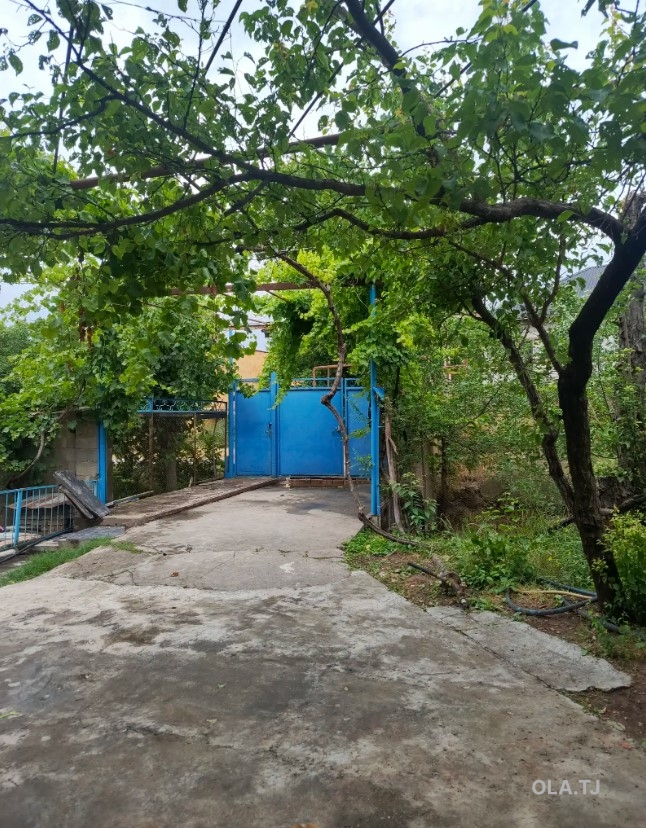 Дом (хавли), 4 комнат, 1 эт
