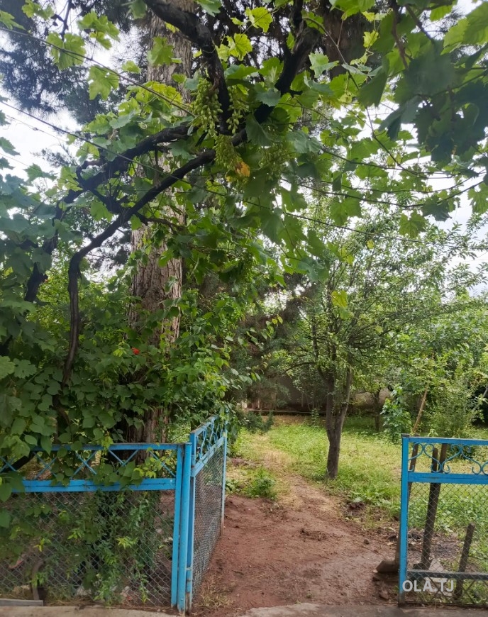 Дом (хавли), 4 комнат, 1 эт