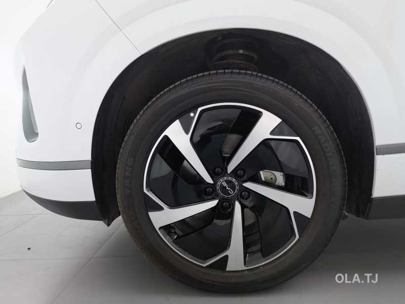 BYD Sea Lion 06,  2026