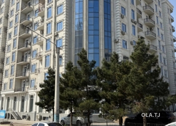 Помещение под магазин / салон, 251м², 33 мкр