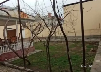 Дом (хавли), 7 комнат,