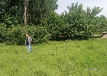 Дом (хавли), 6 комнат, 1 эт