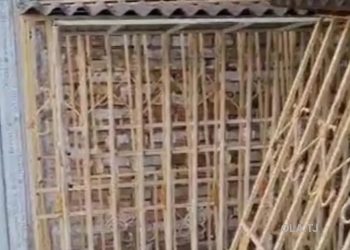 Помещение под свободное назначение, 130м², Сино