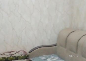 1 комнатная квартира, 10 этаж, 20 м²