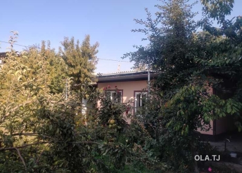 Дом (хавли), 6 комнат,