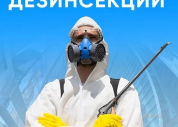 услуги дезинфекции