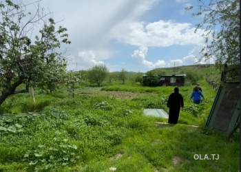 Земельный участок с постройкой на продажу, 300 соток