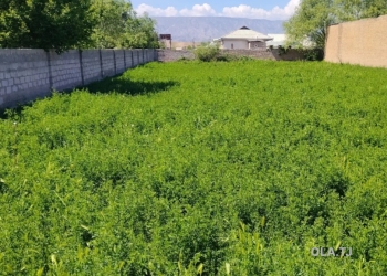 Земельный участок с постройкой на продажу, 16 соток