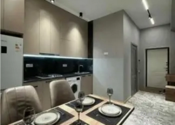 1 комнатная квартира, 1 этаж, 43 м²