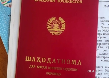 Земельный участок с постройкой на продажу, 100 соток