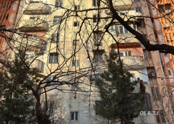 3 комнатная квартира, 1 этаж, 100 м²