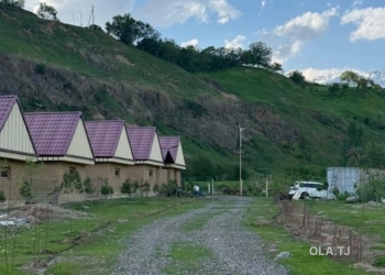 Дача, 10+ комнат, 1 эт