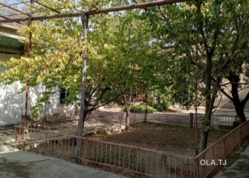 Дом (хавли), 3 комнат,