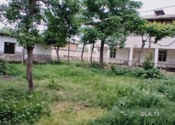 Дом (хавли), 5 комнат,