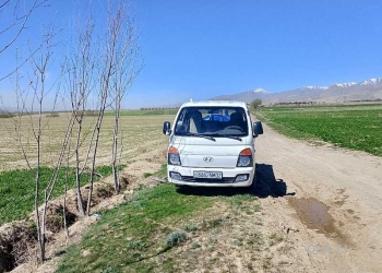 Бортовой автомобиль Hyundai Porter, 2006