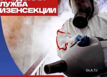 дезинфекция