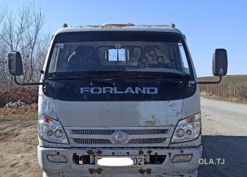 Бортовой автомобиль Foton Forland 3800, 2013