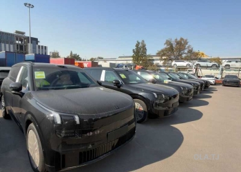 BYD Sea Lion 07,  2025