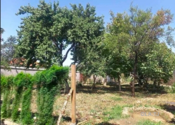 Дом (хавли), 4 комнат,