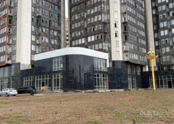 Помещение под свободное назначение, 500м², Цирк, Фирдавси