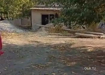 Дом (хавли), 4 комнат,