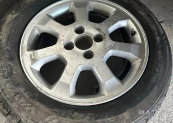 шины