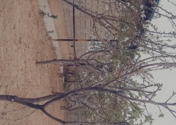 Комната в 2 комнатной квартире, 1/,