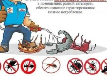 услуги  дезинфекции