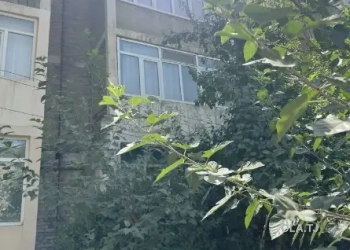 3 комнатная квартира, 2 этаж, 63 м²