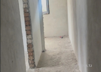 1 комнатная квартира, 1 этаж, 54 м²
