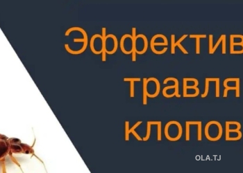 услуги дезинфекции