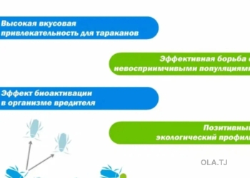 услуги дезинфекции