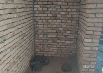 2 комнатная квартира, 2 этаж, 50 м²