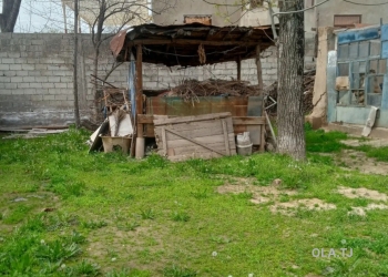 Дом (хавли), 3 комнат,