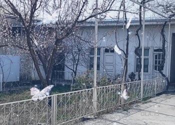 Дом (хавли), 10 комнат,