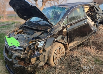 Toyota Mark X Zio,  2012