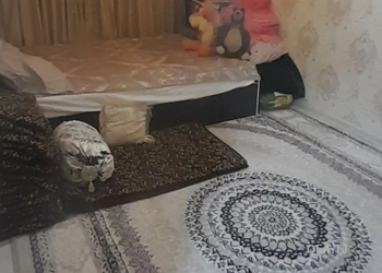 1 комнатная квартира, 1 этаж, 53 м²