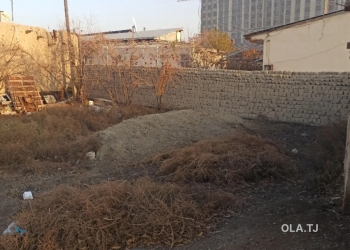 Дом (хавли), 3 комнат,