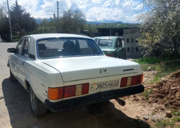 ГАЗ 31029 Волга,  1996