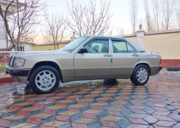 Mercedes-Benz W201,  1992