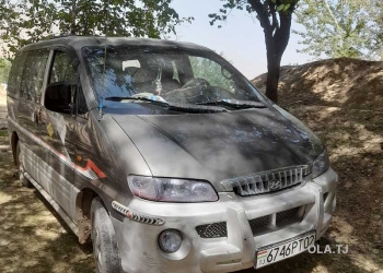 Микроавтобус Hyundai Starex , 2002