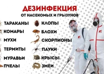 Услуги дезинфекции квартир